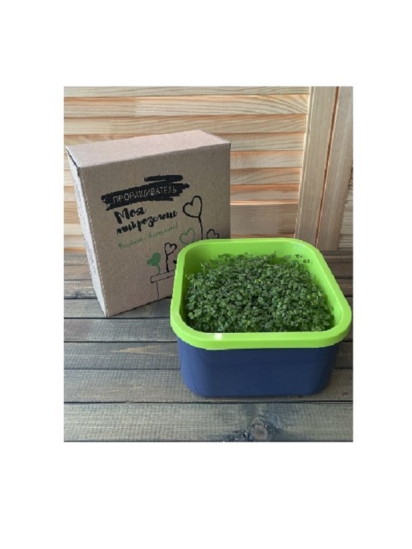 Проращиватель "Здоровья КЛАД" 